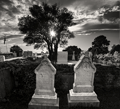 Natchez Historic Cemetery